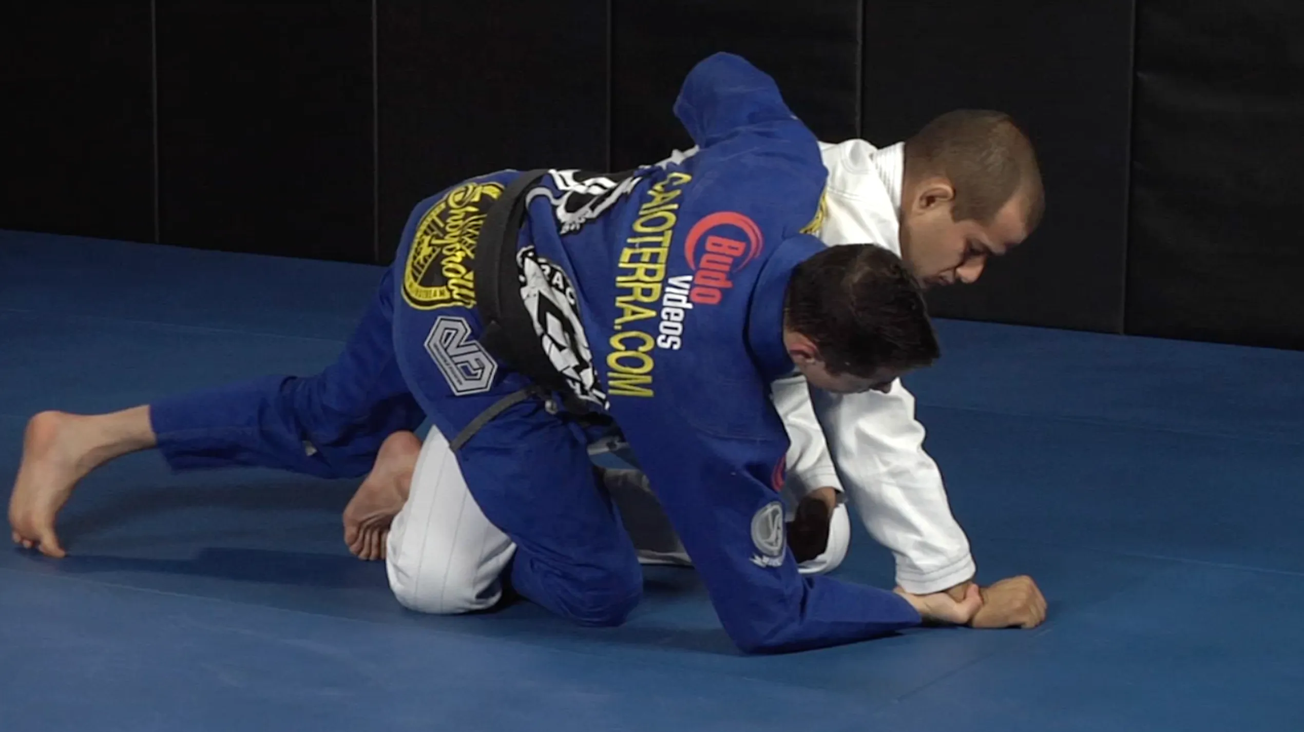 111 Half Guard Techniques by Caio Terra (On Demand)