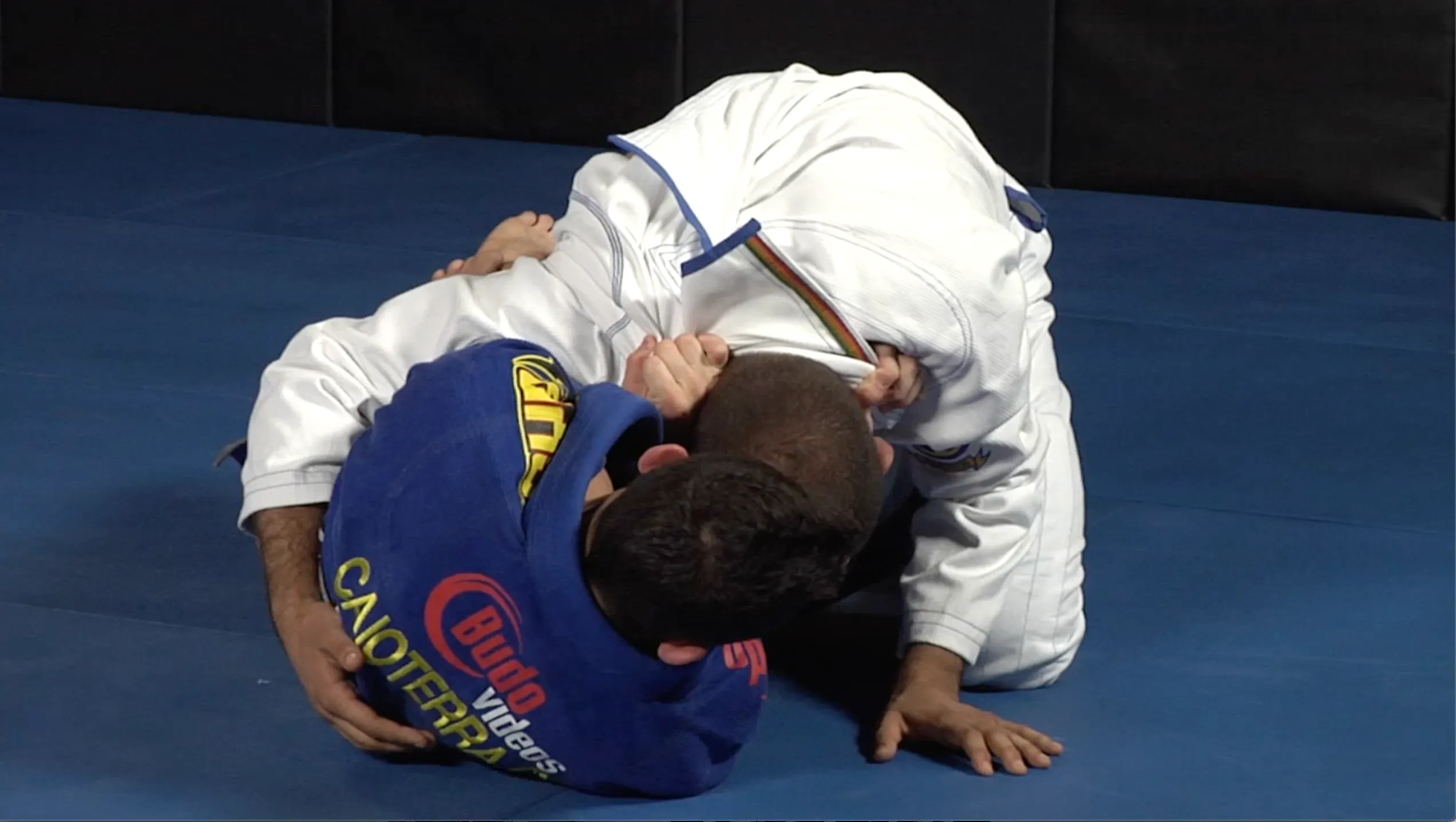 111 Half Guard Techniques by Caio Terra (On Demand)