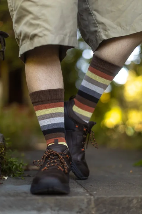 Bear Pride Stripes Crew Tube Socks