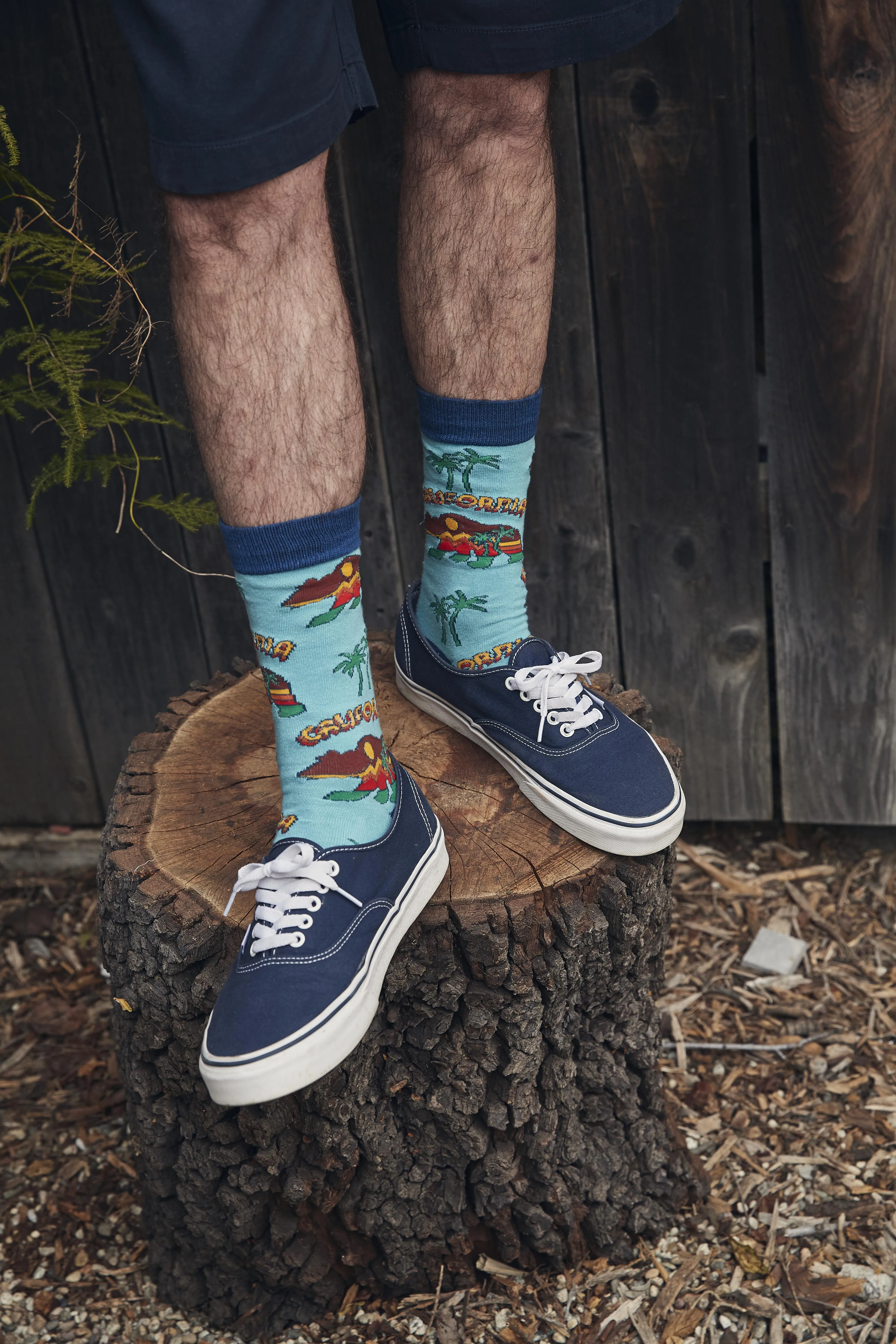 Cali Bear Socks