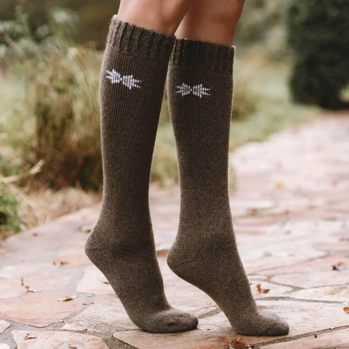 Earth Knee High (2 pairs)