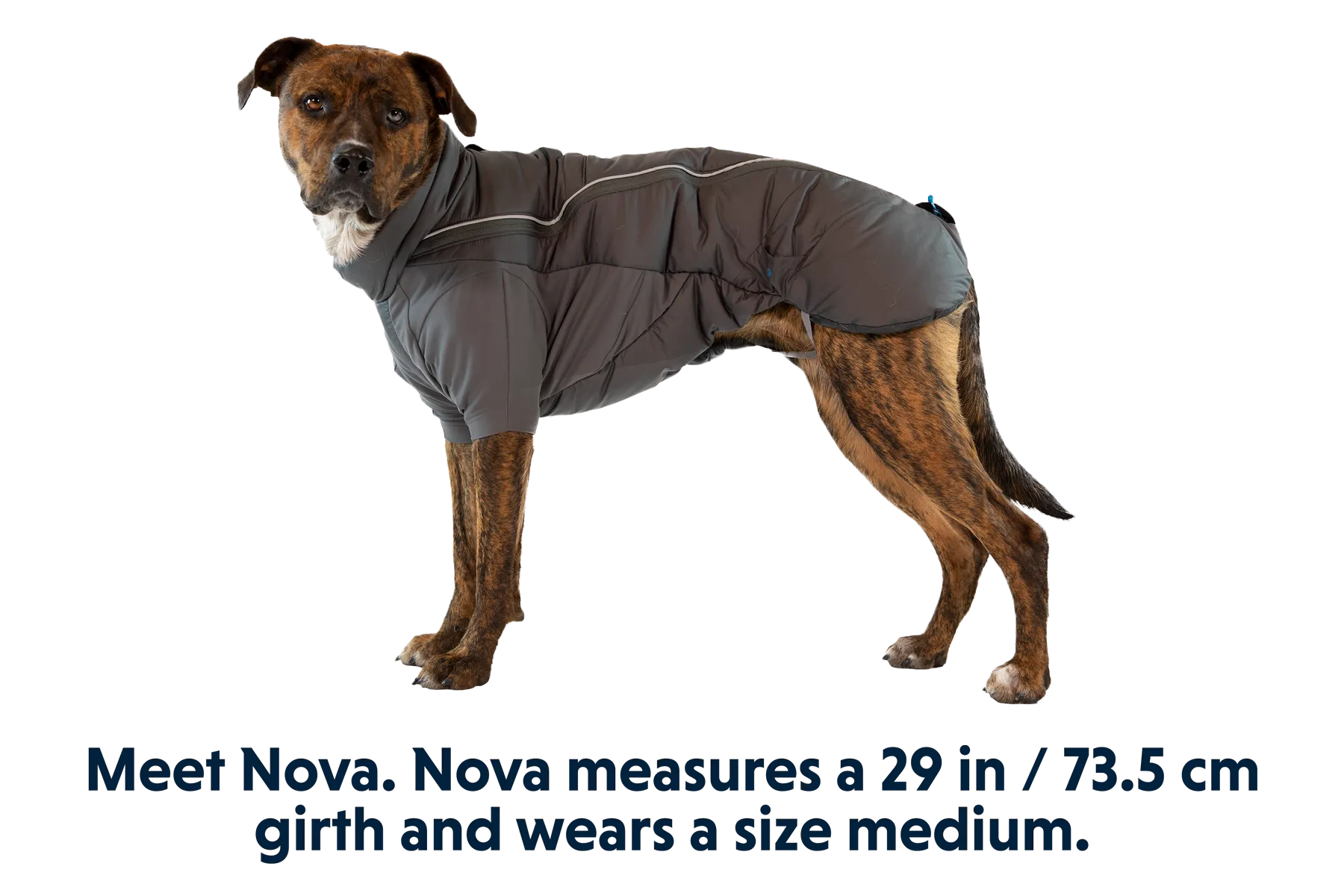 Furness™ Dog Jacket