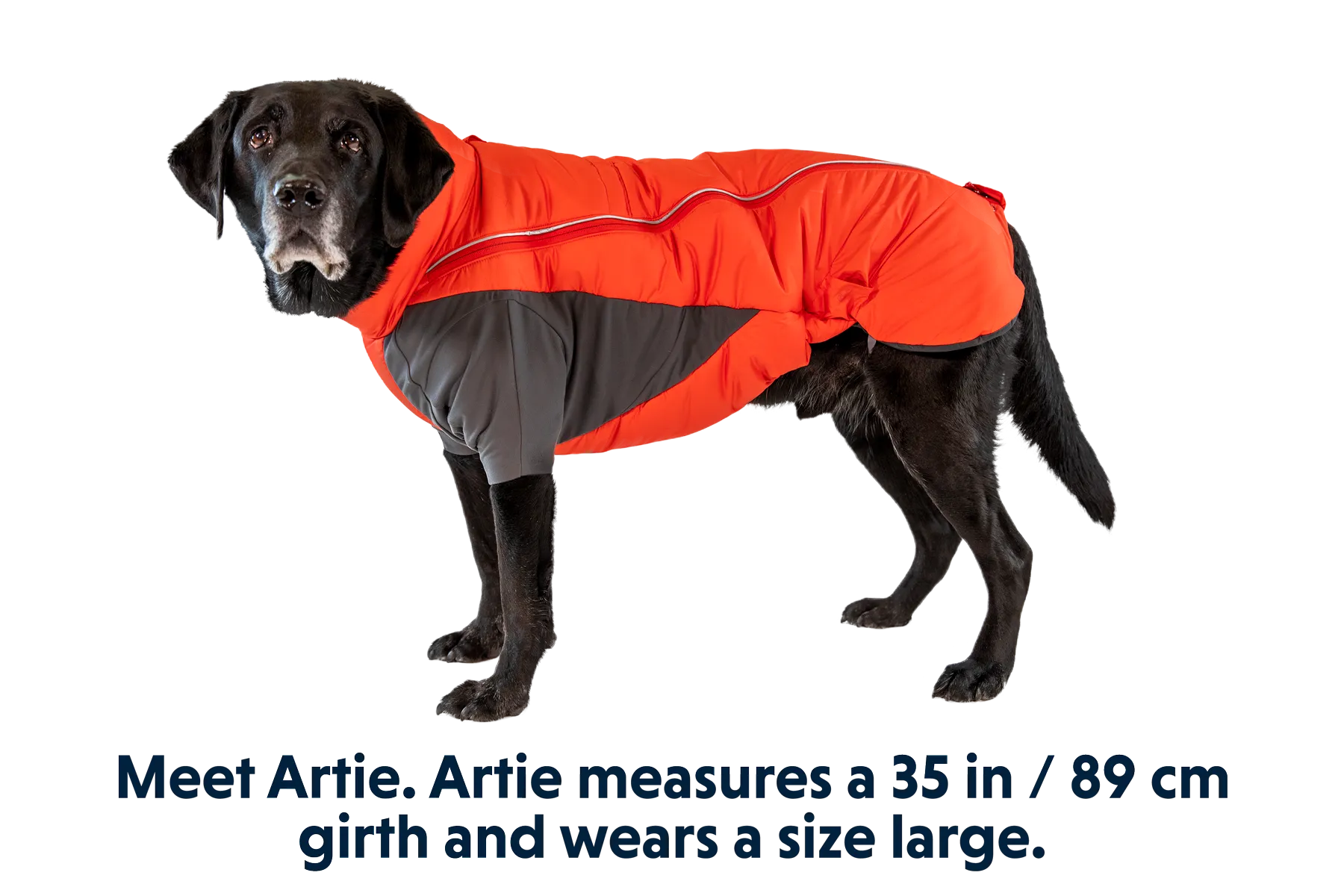 Furness™ Dog Jacket