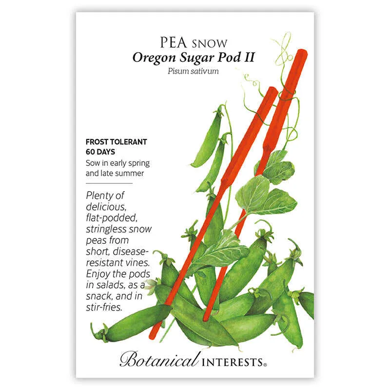 Oregon Sugar Pod II Snow Pea Seeds