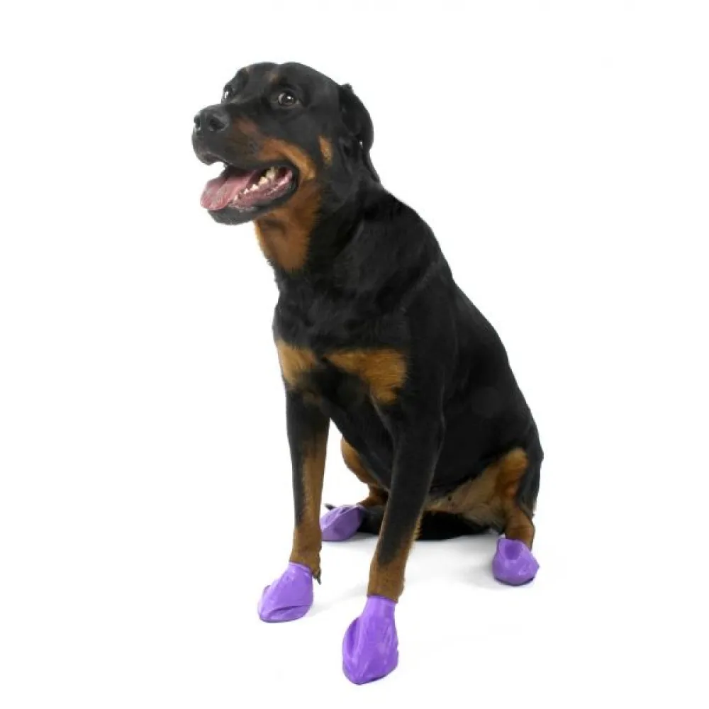 Protex PawZ Boots for Dogs (Purple)