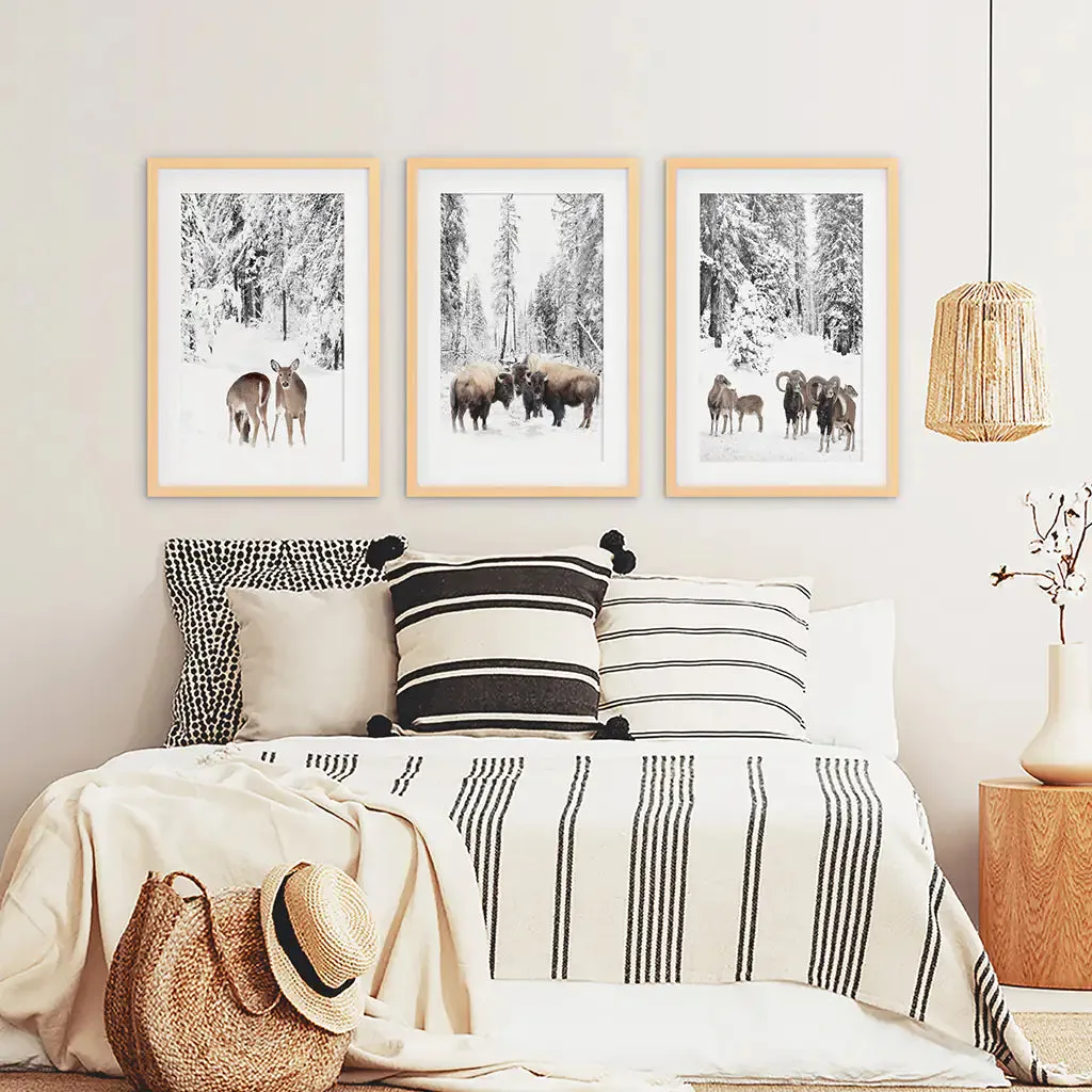 Winter Animals Wall Art Set of 3. Buffalo, Deer, Goat