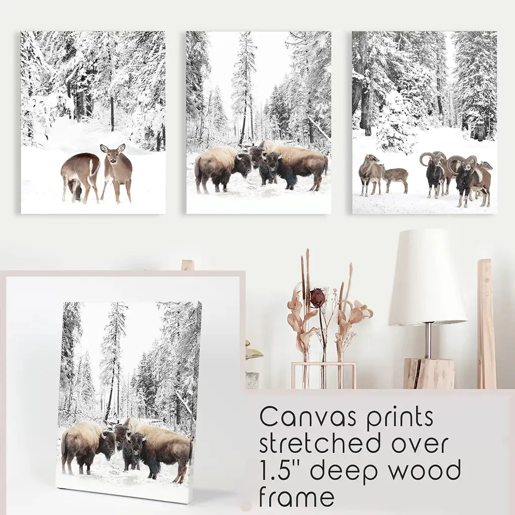 Winter Animals Wall Art Set of 3. Buffalo, Deer, Goat