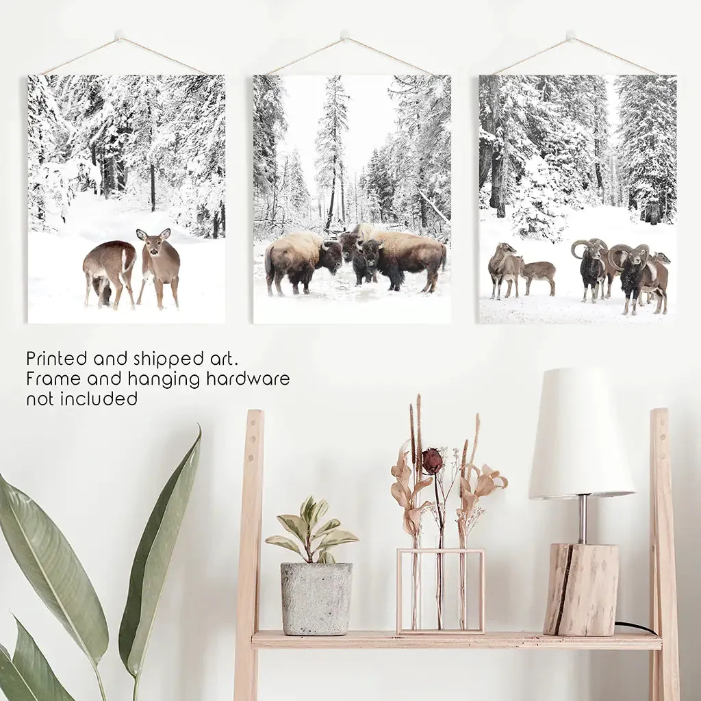 Winter Animals Wall Art Set of 3. Buffalo, Deer, Goat