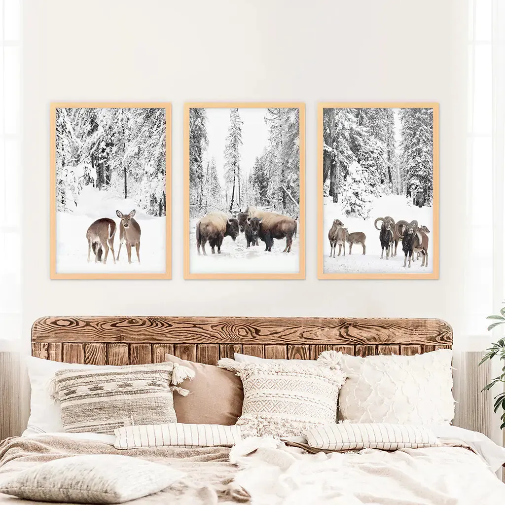 Winter Animals Wall Art Set of 3. Buffalo, Deer, Goat